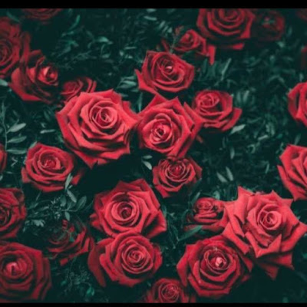 Meet your Posher, Keiara